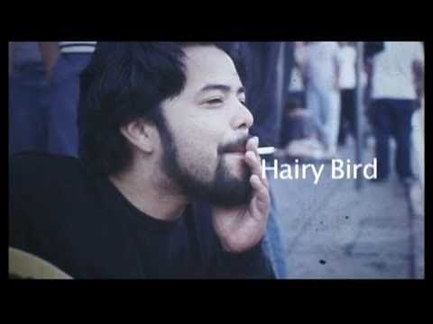 HAIRY BIRD