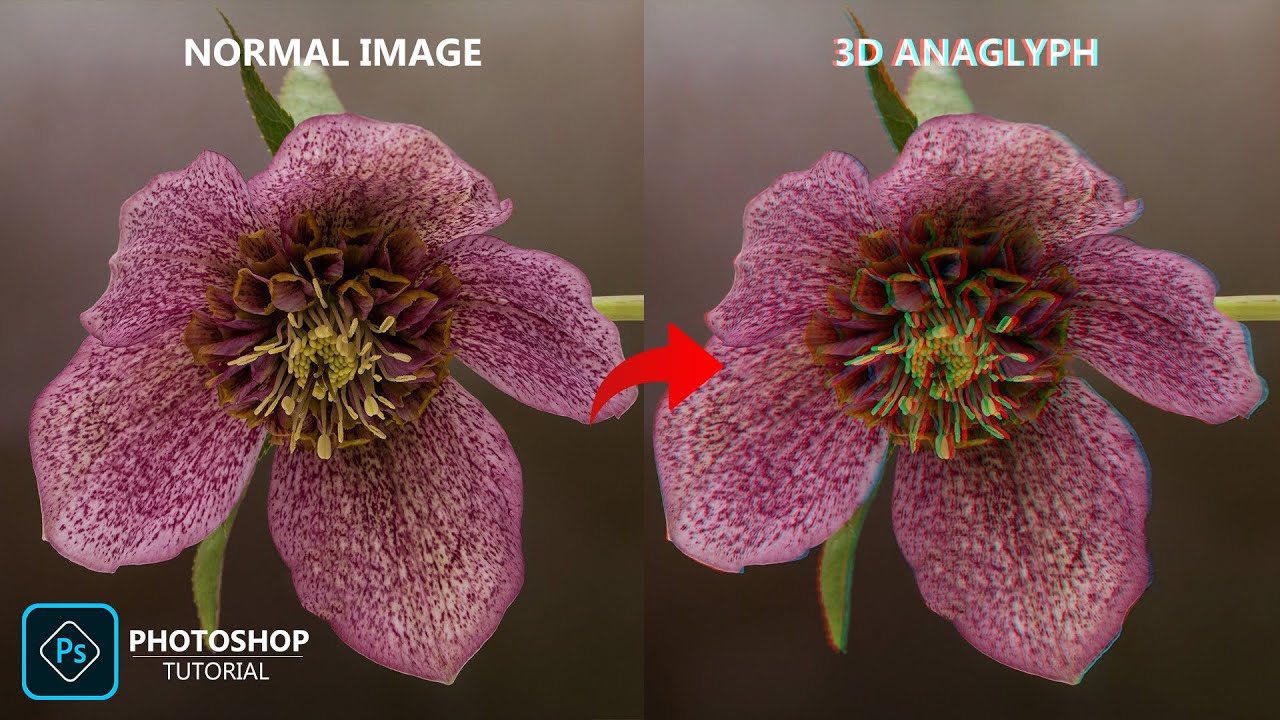 Convert Normal Image Into 3D Anaglyph (Red-Cyan) Image in Photoshop ...