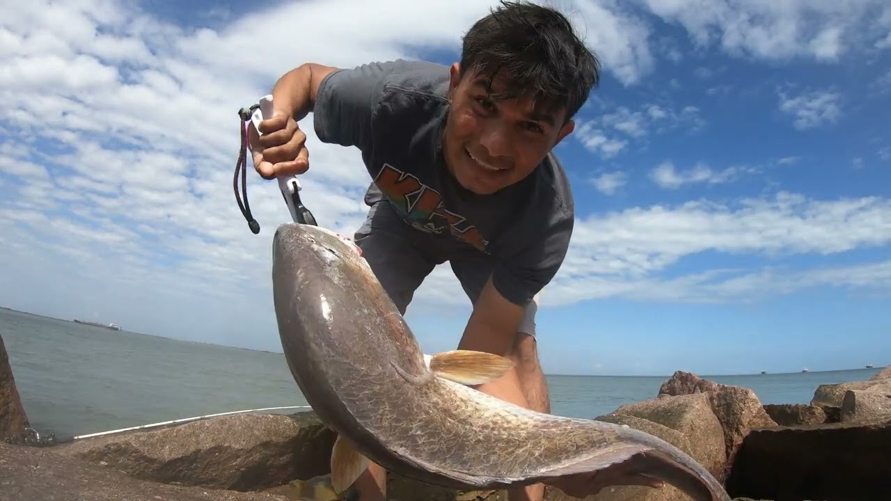 pesca al límite &fishing **galveston tx