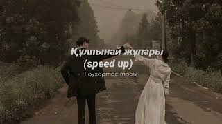 Құлпынай Жұпары (Speed Up) - Гаухартас Тобы