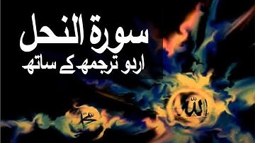 سوره نحل با ترجمه اردو 016 (زنبور) @raah-e-islam9969