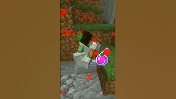 the world border is a bit silly...#shorts #minecraft