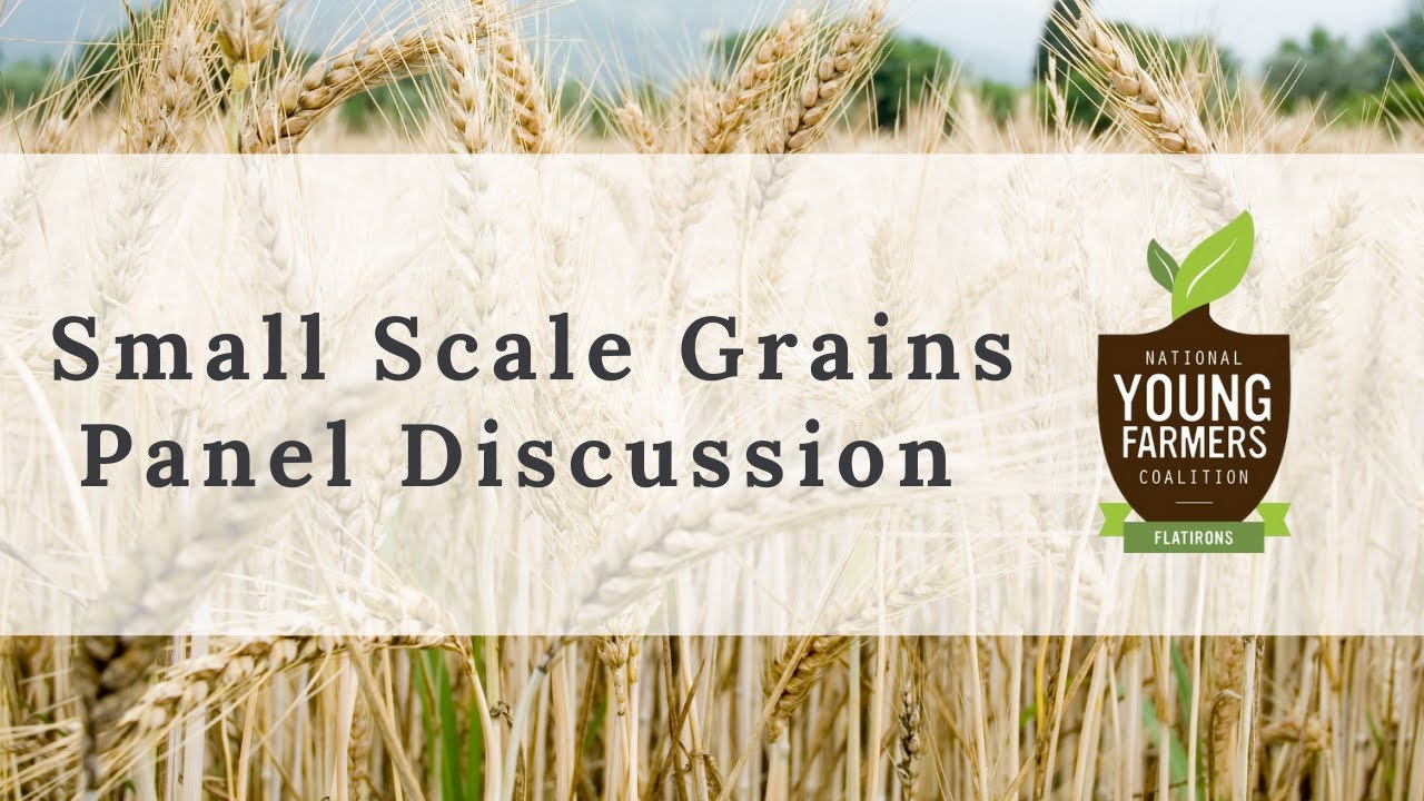 Small Scale Grains Panel Discussion 07/18/21