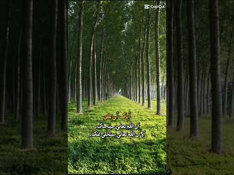 اياك أن تظن أن الله تعالي سينساك