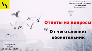 От чего слепнет обонятельник. ВектораВсем. Проект Вячеслава Юнева