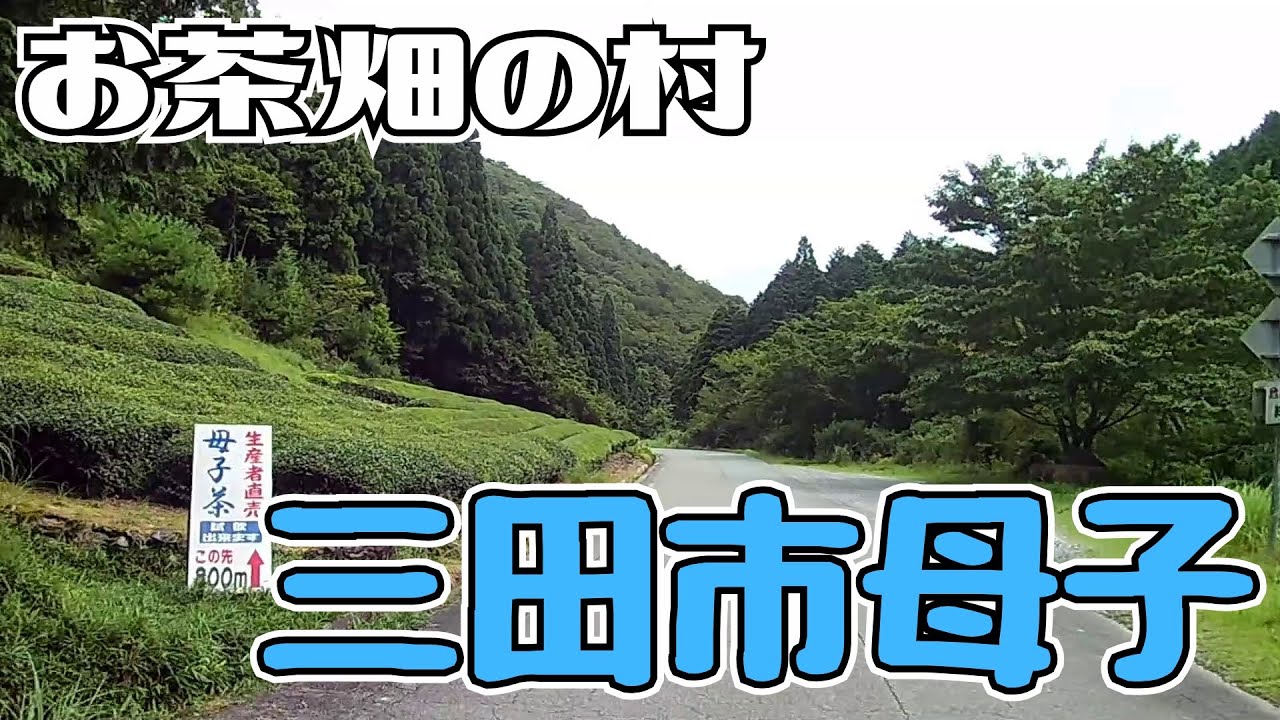 ぶらり #41 【お茶畑】兵庫県三田市・母子