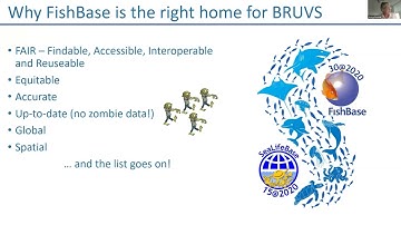 "Creating a Portal for Video Data on FishBase: the BRUVS tool " by Jessica Meeuwig