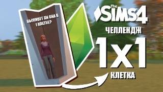 картинка: Sims 4: ЗАПЕРЛА КОЛЛЕГУ в 1 клетке и читерю | 1 tile challenge  Sims 4| 🏠🙃