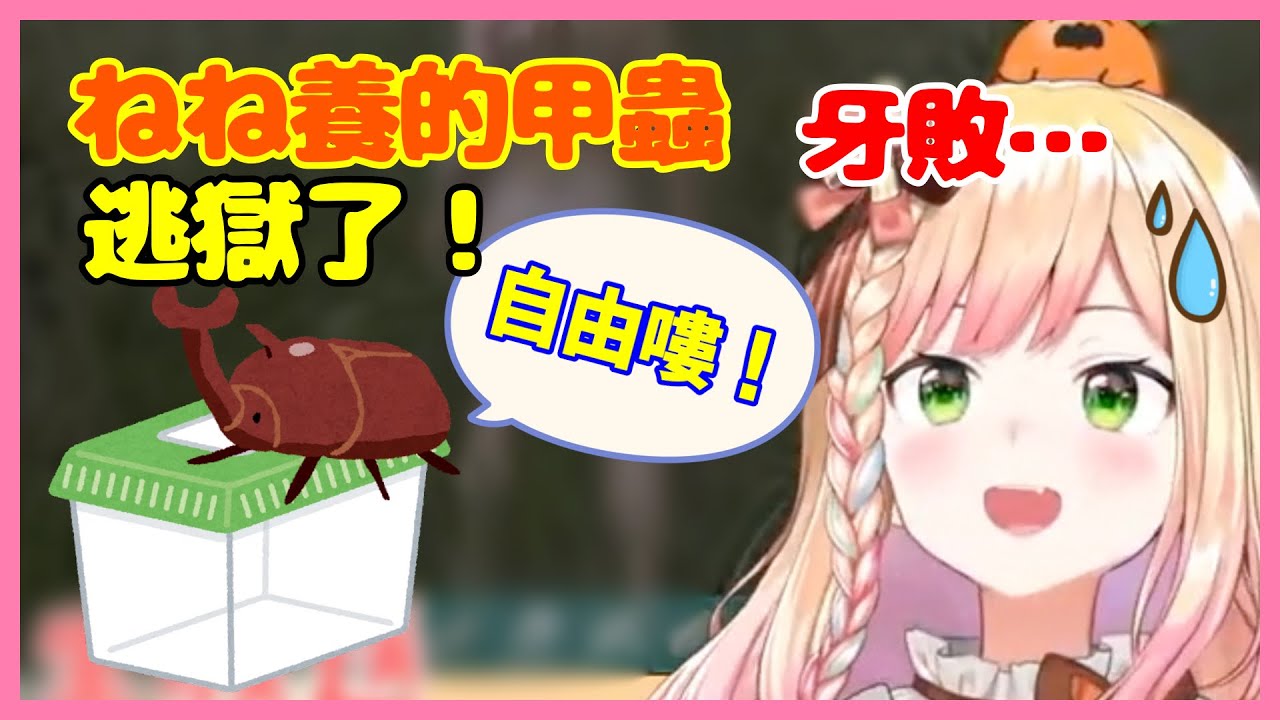 因一個沒注意,NENE養的甲蟲逃獄了！！？【桃鈴ねね】【Vtuber遜炮中翻】