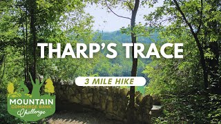 Tharp's Trace Hike - Mountain Commerce Bank Challenge