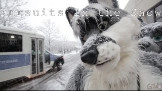 Fursuits In the Snow