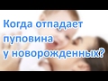 Когда отпадает пуповина у новорождённых? | "До и После Родов"