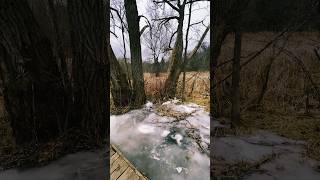 Şükür Ne Hoş Hallerim Var (Davut Sulari - Feyzullah Çınar) Ğlama