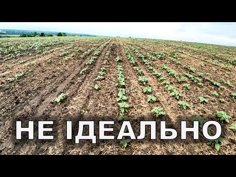 Помилки при посіві