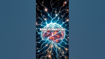 The Brain