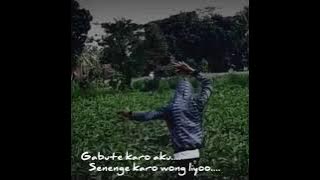 TOP - TOPAN / koplo - story wa