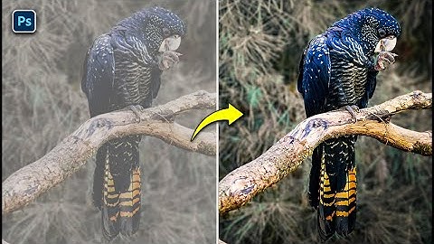how to correct colors in photoshop | Color correction photoshop tutorial