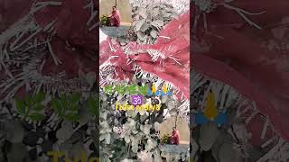 yah Tulsi Maiya Puja mein karungi