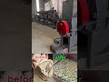 Die Head Lumps Crusher Machine | Heavy Duty Plastic Crusher for Hard Material #recyclingmachine