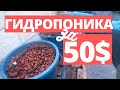 Выращивание огурцов. Гидропоника Своими Руками за 50$.