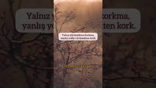 Yalnızlık Bazen Ihtiyacınız Olan En Iyi Arkadaş Olabilir. Önemli Olan Menzilimizim Doğru Olması.