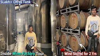 Wine Making in Factory 😍 | India's Finest Wines in Nashik Factory