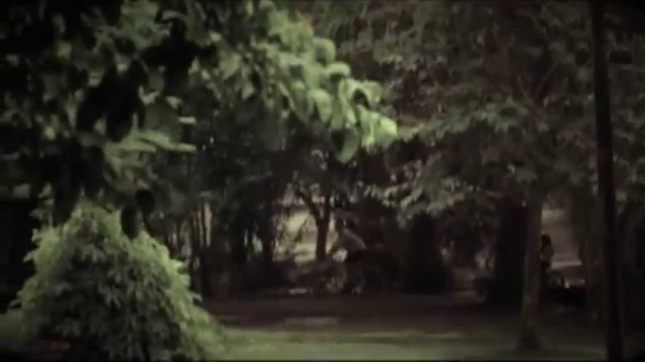 Watch Duncan Sheik - So Alive (Official Video) on YouTube Watch Duncan Sheik - So Alive (Official Video) on YouTube