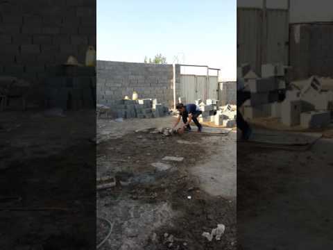 سگ سرابیه علی اصغری 