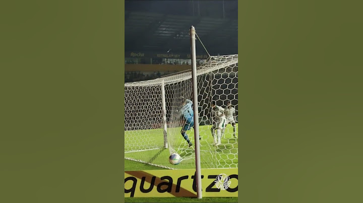CONFIRA OS GOLS DO VERDÃO NA VITÓRIA SOBRE O CRICIÚMA