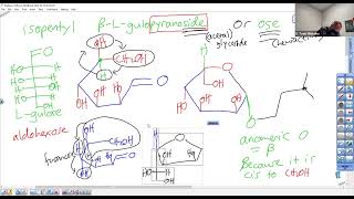 c242w23 L22 w22T4 II III 1b Carbohydrate Road Map