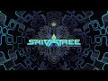 Shivatree - The Unlimited Process Full Mix