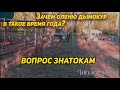 Зачем оленям дымокур в такое время года на ночь? Вопрос знатокам