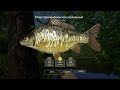 Проверка точки 50:38 | #rr4 #рр4 #рр4стрим #рр4фарм #медноерр4 #острог  #fishing #рыбалка #carp