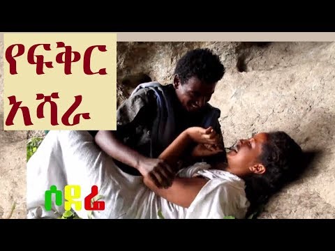 ቪዲዮ: የቻይንኛ መለከት አስጨናቂ መረጃ - የቻይና የመለከት ወይኖችን ለማሳደግ ጠቃሚ ምክሮች