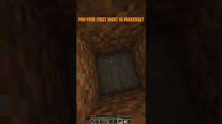 POV:YOUR FIRST NIGHT IN MINECRAFT