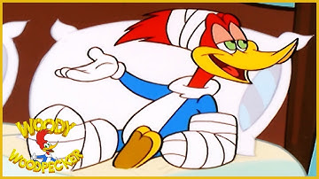 Download Woody Woodpecker Mp3 Free And Mp4