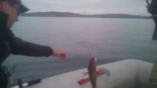Рыбалка летом в Баренцевом море