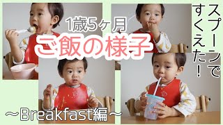 スプーン・フォーク練習を兼ねた１歳５ヶ月児のご飯〜朝ご飯編〜