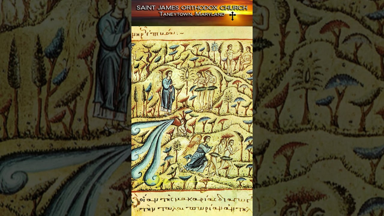 Saint James Orthodox Church: Sunday Homily for February 22, 2026 - Sunday of Cheesefare