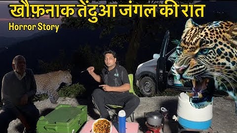 Leopard record | Night Camping in forest | Jungle night camping video | Horror story