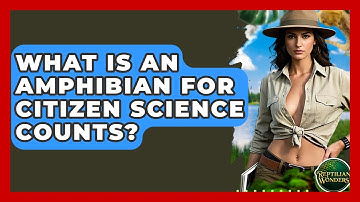 What Is An Amphibian For Citizen Science Counts? - Reptilian Wonders