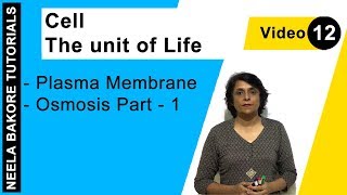 Cell - The unit of Life - Plasma Membrane - Osmosis Part - 1