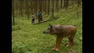 Обзор стрельбы из лука и 3D охоты screenshot 5