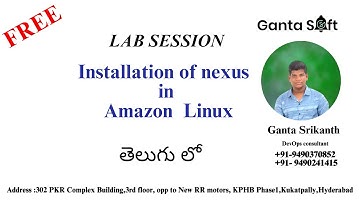 Installation Of Nexus In Amazon Linux |GantaSoft | Best Devops Training in  KPHB HYD| Ganta Srikanth