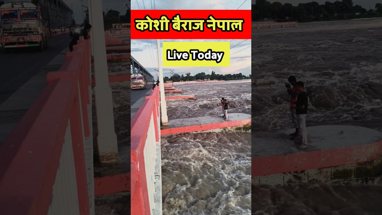 क्या इतिहास में बिहार डूब जाएगा 😱 //koshi barrage // koshi barrage nepal // #koshibarrage #viral