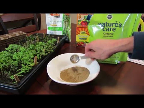 Video: The Use Of Bone Meal In The Backyard