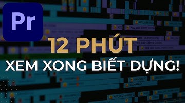 Học nhanh Premiere Pro 2025 (đọc bình luận đầu ⬇️)