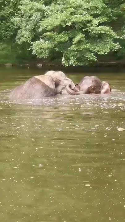 Мама дочку купает 😍 - YouTube