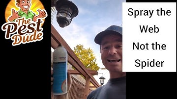 Quick tip! Spider Web Elimination that lasts!
