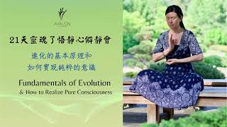 進化的基本原理和如何實現純粹的意識 Fundamentals of Evolution & How to Realize Pure Consciousness (1)